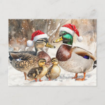 Carte postale de la famille Duck