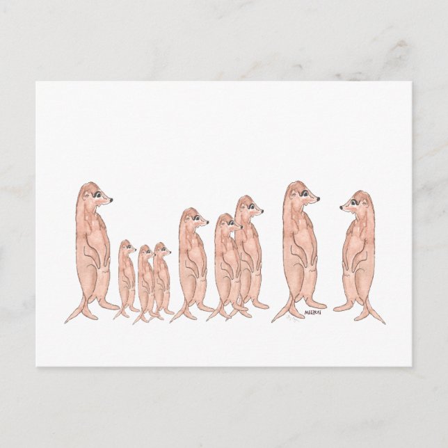 Carte postale de la famille Meerkat (Devant)