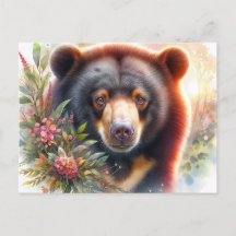 Carte postale de la faune de l'ours solaire