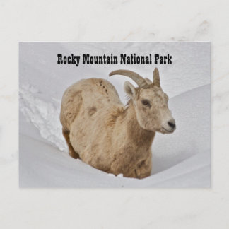 Carte postale de la faune du parc national Rocky M