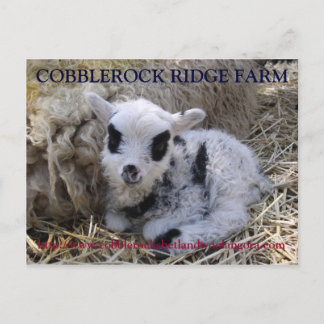 CARTE POSTALE DE LA FERME DE COBBLEROCK RIDGE