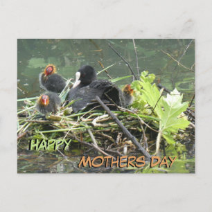 Carte postale de la Fête des jeunes mères