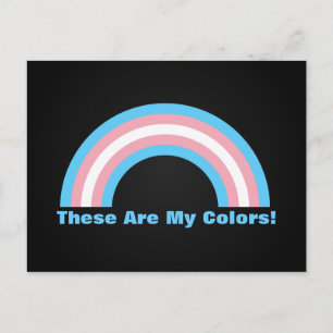 Carte postale de la fierté arc-en-ciel transgenre