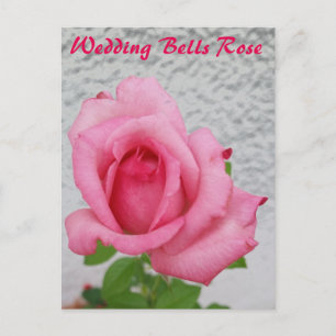 Carte postale de la fleur de rose Wedding Bells - 