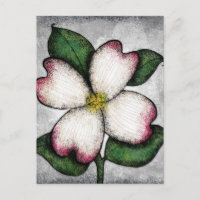Carte postale de la floraison du cornouiller