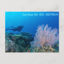 Carte postale de la Grande barrière de corail