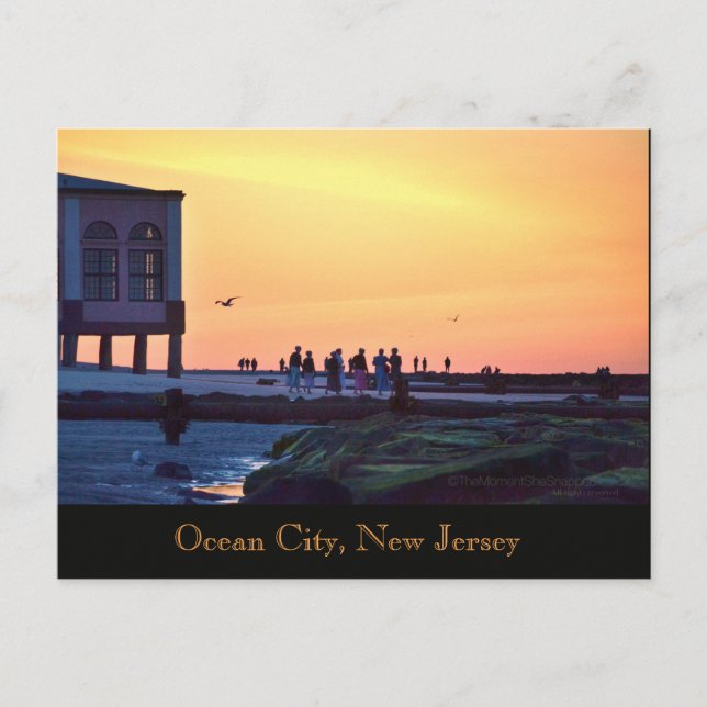Carte postale de la jetée musicale d'Ocean City, N (Devant)