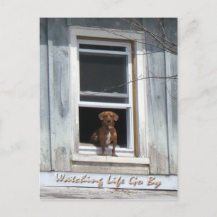 Carte postale de la journée du chien