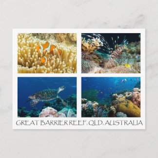 Carte postale de la mer de corail