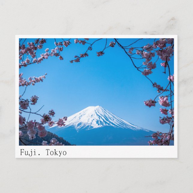 Carte postale de la montagne Fuji de Tokyo (Devant)