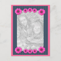 Carte postale de la photo rose Fleurs de marguerit