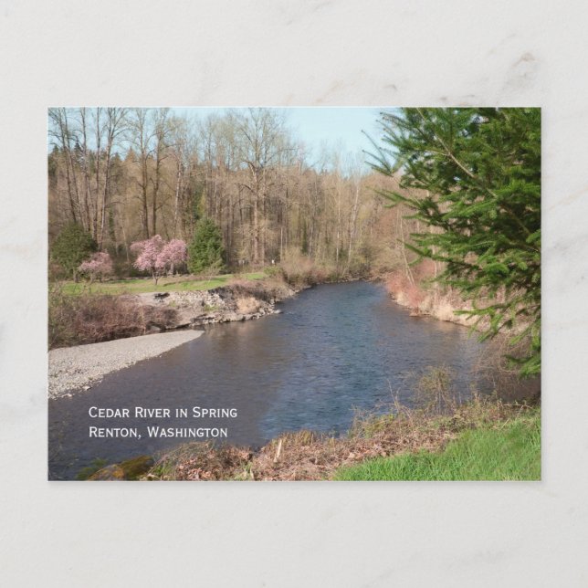 Carte postale de la plage de Cedar River (Devant)