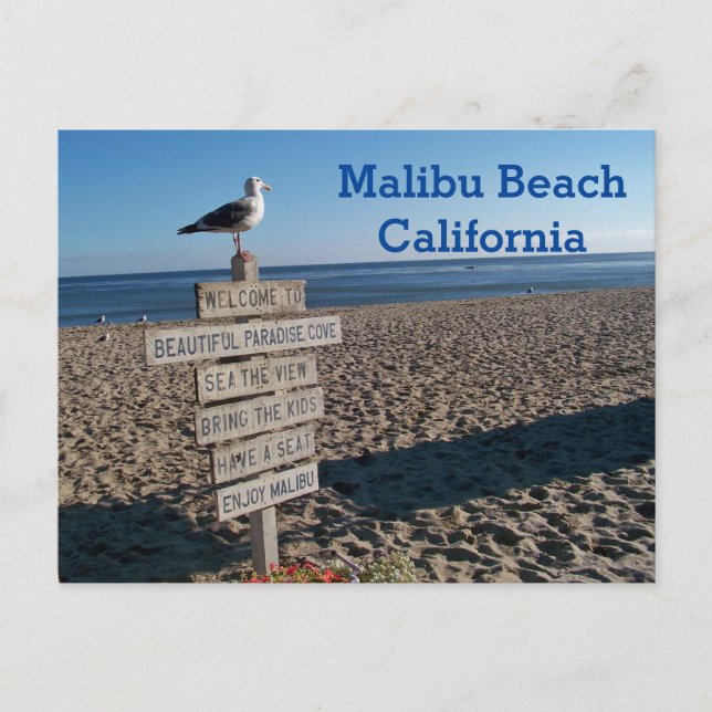 Carte postale de la plage de Malibu - Panneau de m (Devant)