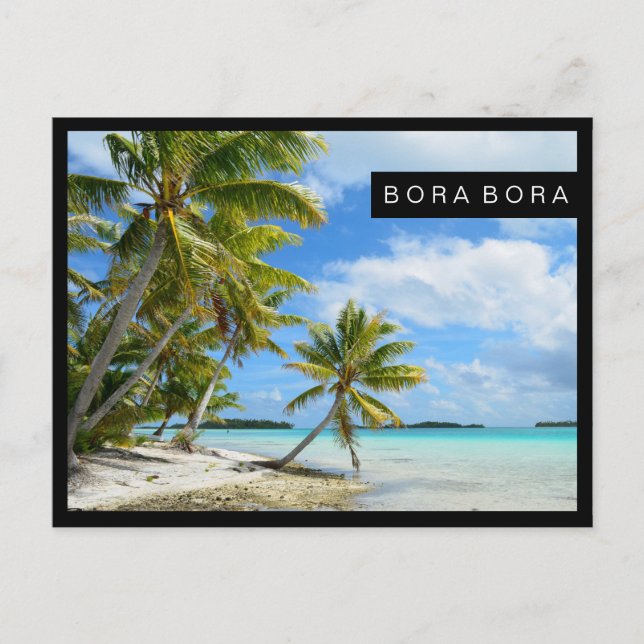 Carte postale de la plage de palmiers du Pacifique (Devant)