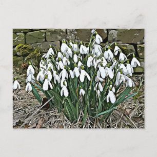 Carte postale de la première fleur de printemps