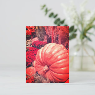 Carte postale de la récolte d'automne