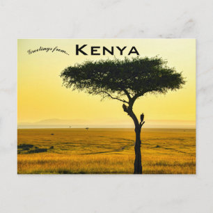 Carte postale de la réserve nationale du Masai Mar