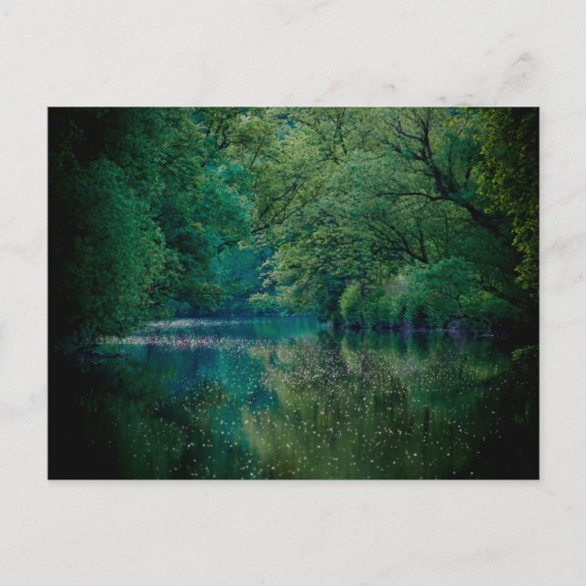 Carte postale de la rivière (Devant)