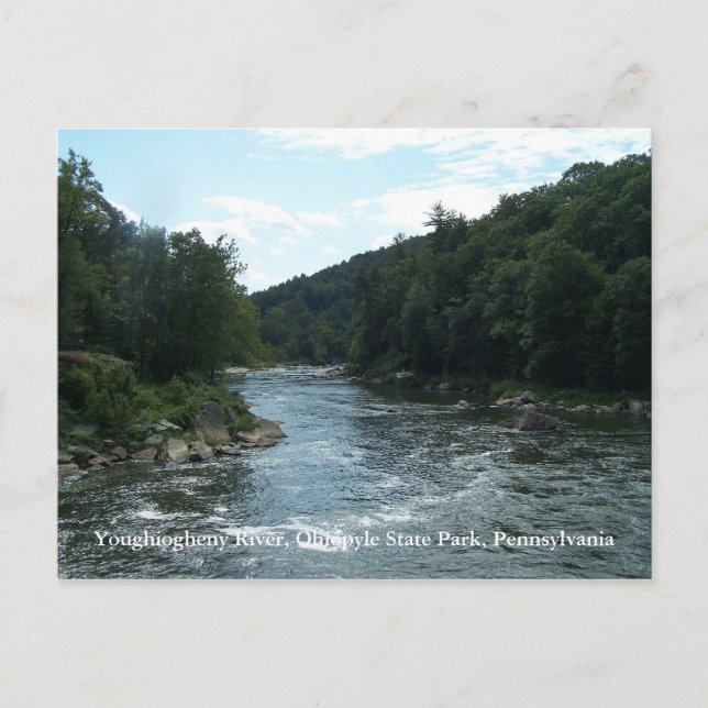 Carte postale de la rivière Youghiogheny (Devant)