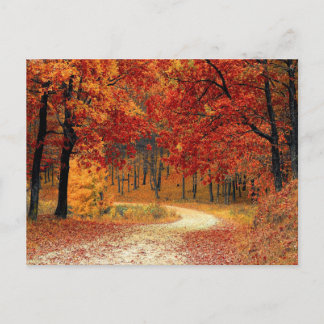 Carte postale de la scène des couleurs d'automne
