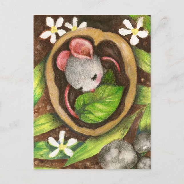 Carte postale de la souris de bébé animal mignon (Devant)
