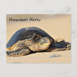 Carte postale de la tortue de mer d'Hawaï