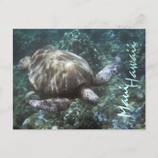 Carte postale de la tortue marine Maui Hawaii (Devant)