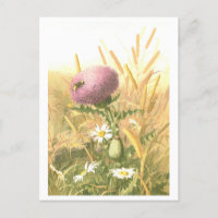 Carte postale de l'abeille et du chardon