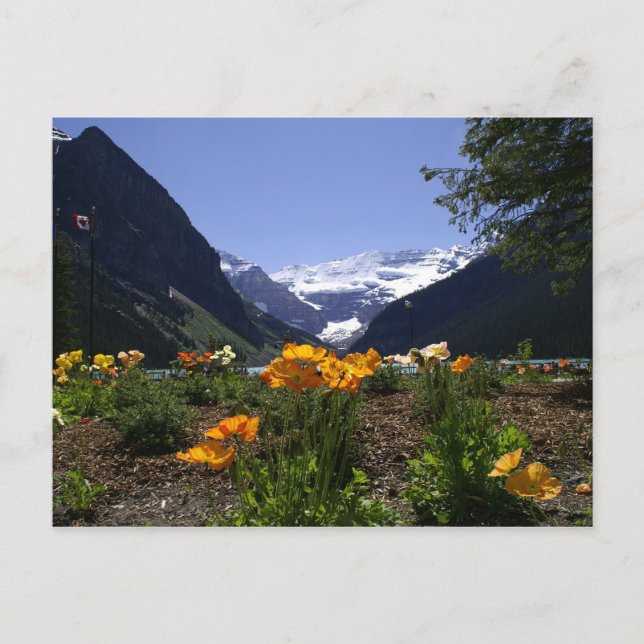 Carte postale de Lake Louise (Devant)