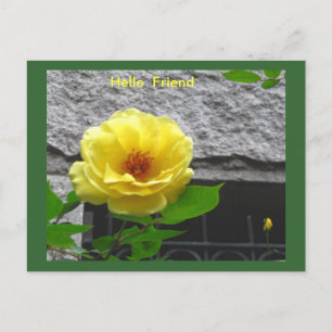 CARTE POSTALE DE L'AMITIÉ ROSE JAUNE