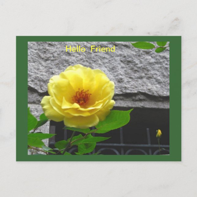 CARTE POSTALE DE L'AMITIÉ ROSE JAUNE (Devant)
