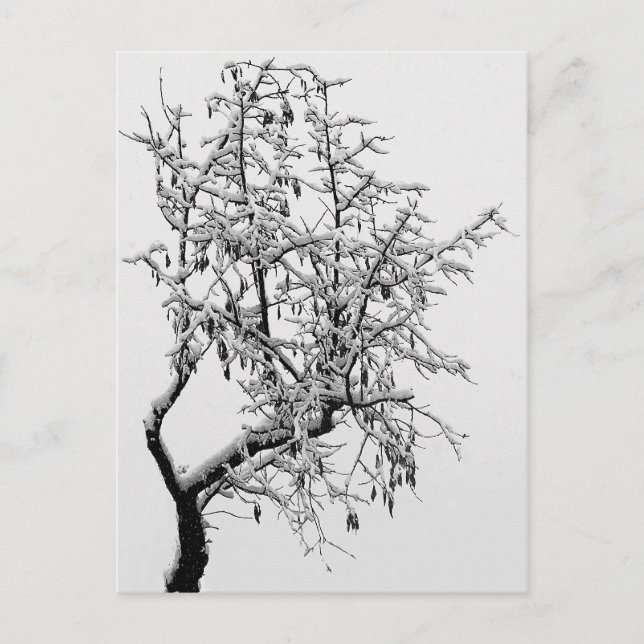 Carte postale de l'arbre d'hiver (Devant)