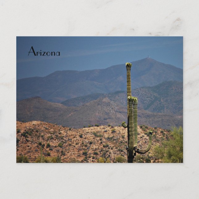 Carte postale de l'Arizona (Devant)