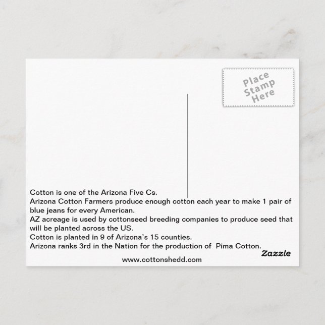 Carte postale de l'Arizona Cotton Fact 1912 (Dos)
