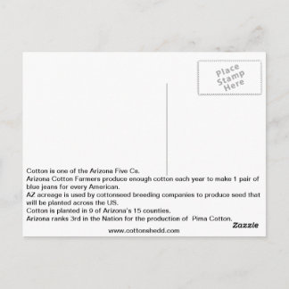 Carte postale de l'Arizona Cotton Fact 1912