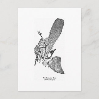 Carte postale de l'art Archaeopteryx