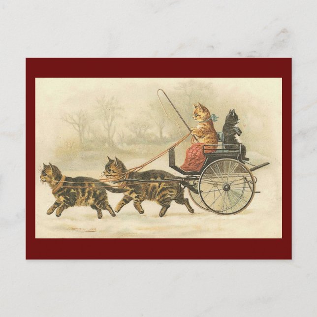 carte postale de l'entraîneur chaton vintage (Devant)