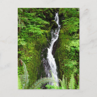 Carte postale de l'État de Washington : Quinault R
