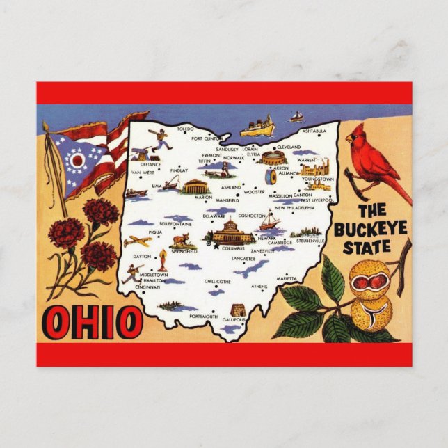Carte postale de l'État du Ohio Buckeye (Devant)