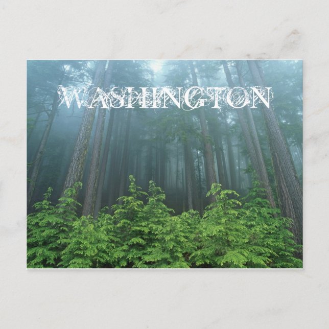Carte postale de l'État Washington (Devant)