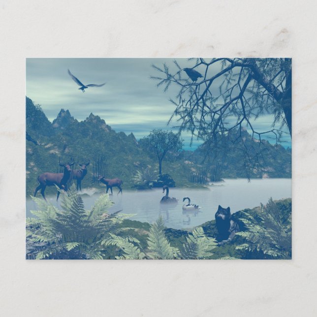 Carte postale de l'explosion de la nature (Devant)