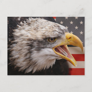 Carte postale de l'image de l'aigle patriotique