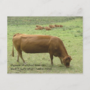 Carte postale de limousine étirée