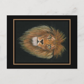 Carte postale de lion