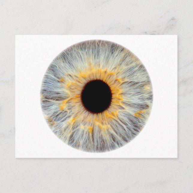 Carte postale de l'oeil (Devant)