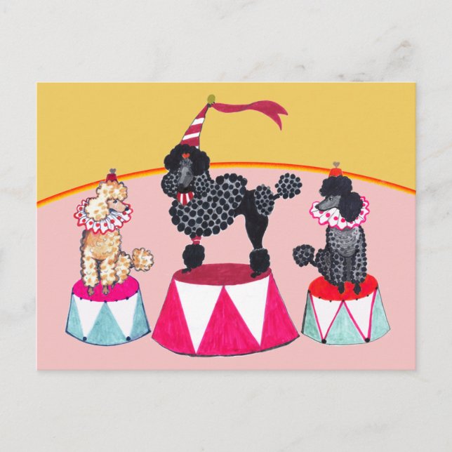 Carte postale de Loi de cirque de soeurs de (Devant)