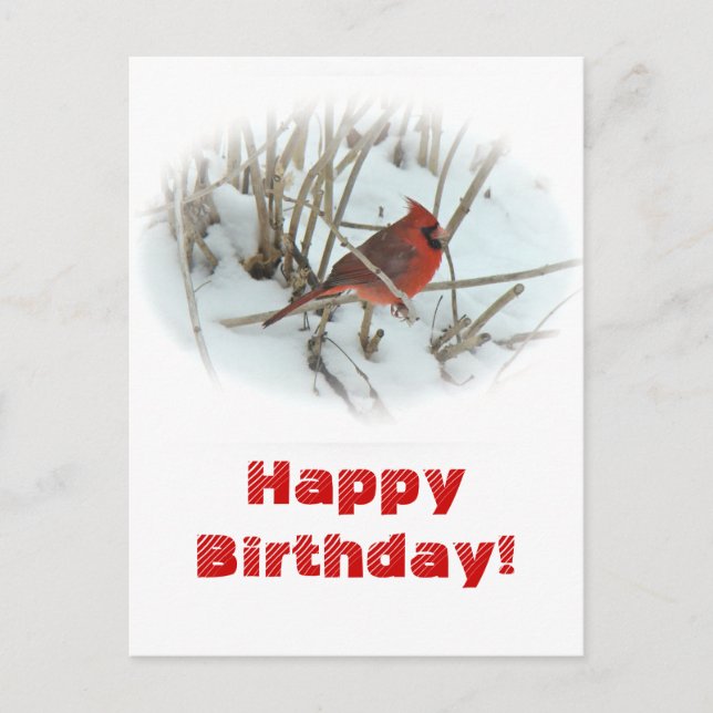Carte postale de l'oiseau chanteur cardinal de l'E (Devant)
