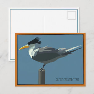 Carte postale de l'oiseau - Sterne royale