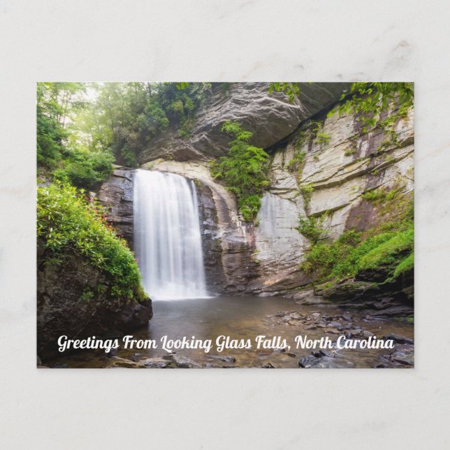 Carte postale de Looking Glass Falls (Devant)