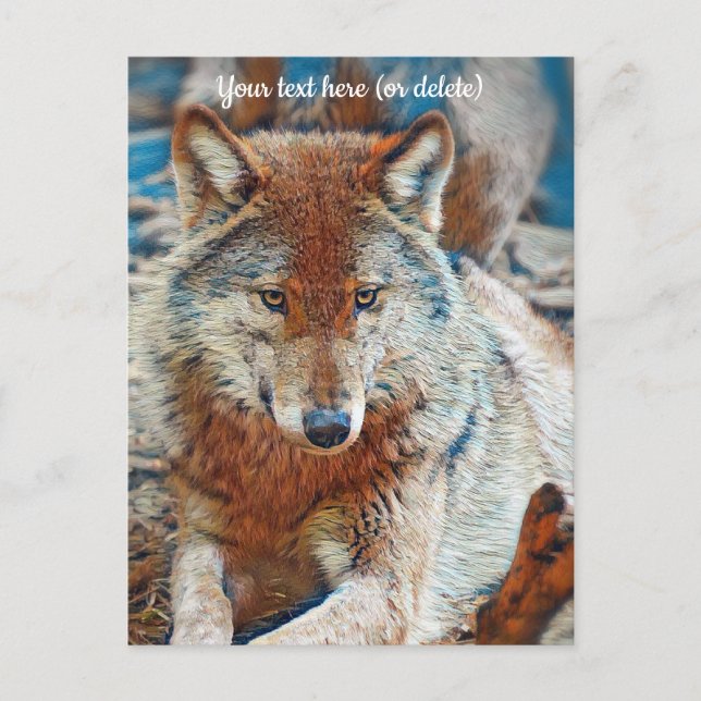 Carte postale de loup (Devant)